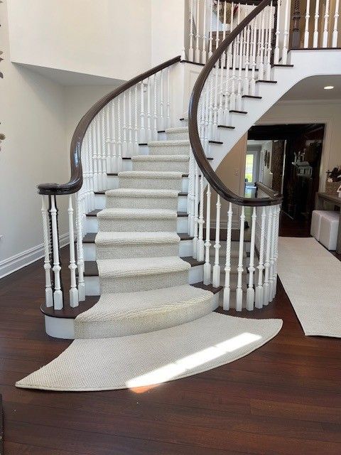 Area Rug
