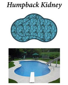 Diagram and photo of a kidney-shaped swimming pool. The top illustration shows the pool's shape, while the bottom depicts an actual pool.