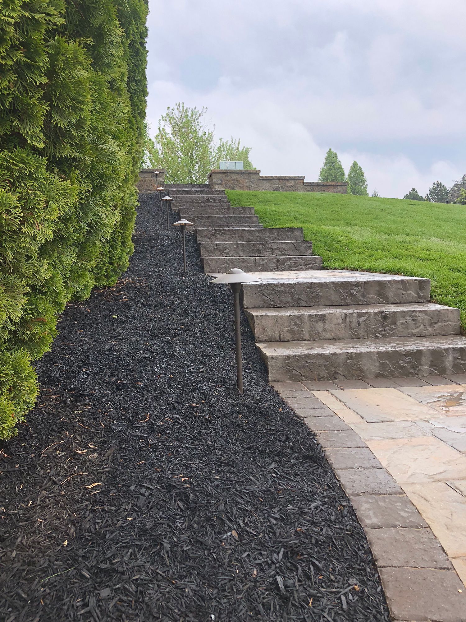 A row of stairs leading up to a grassy hill surrounded by black mulch.