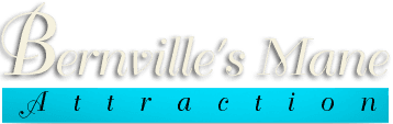 Bernville's Mane Attraction - Logo
