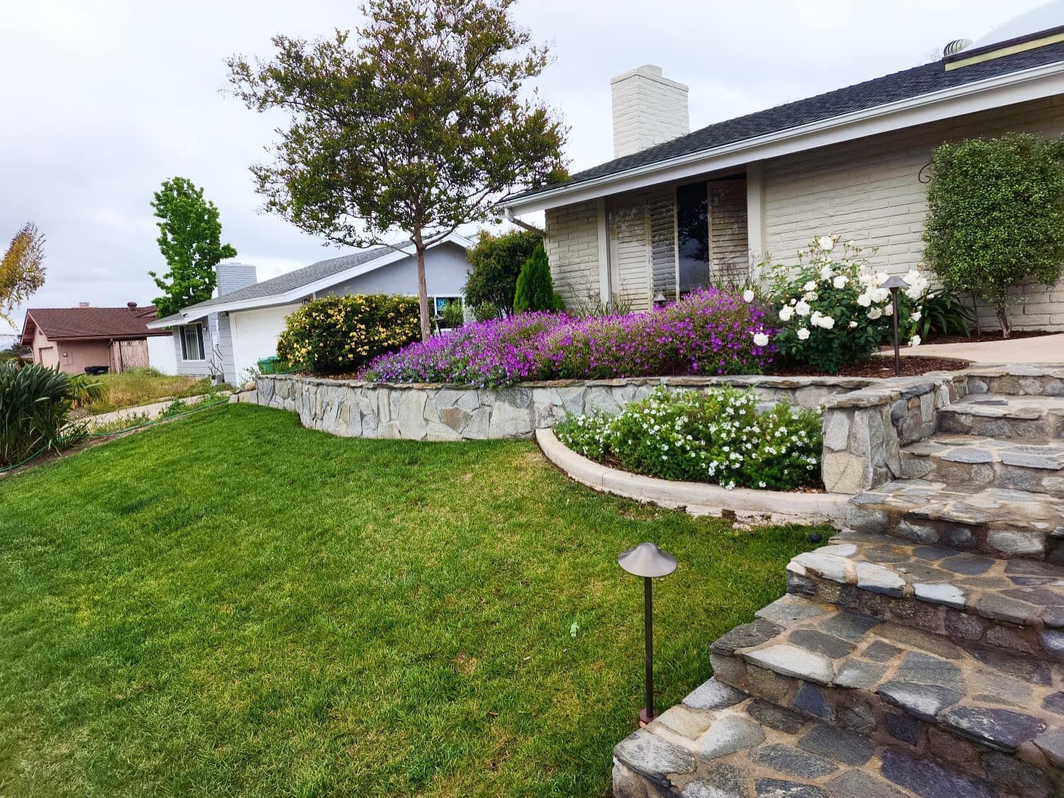 House exterior with stone steps, a lawn, and blooming purple and white flowers.