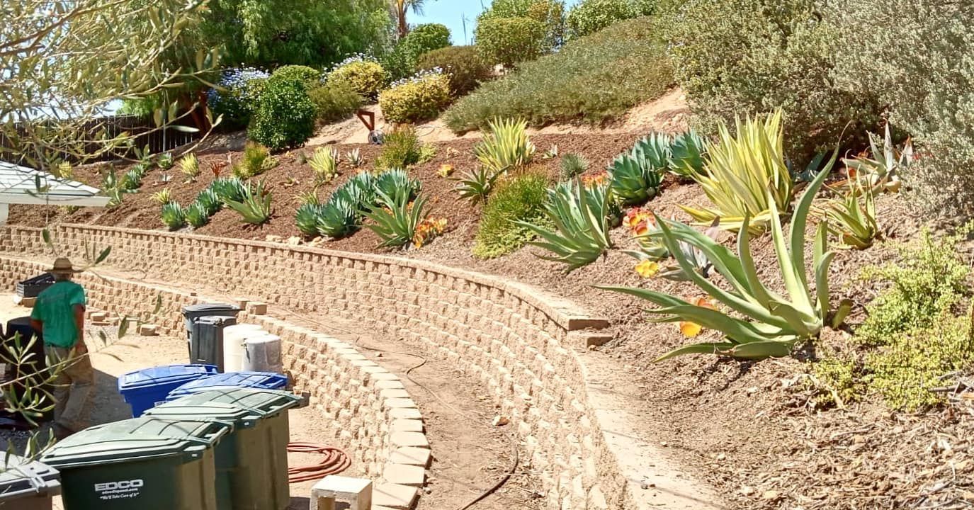 Terraced garden with retaining walls and various plants on a hillside.