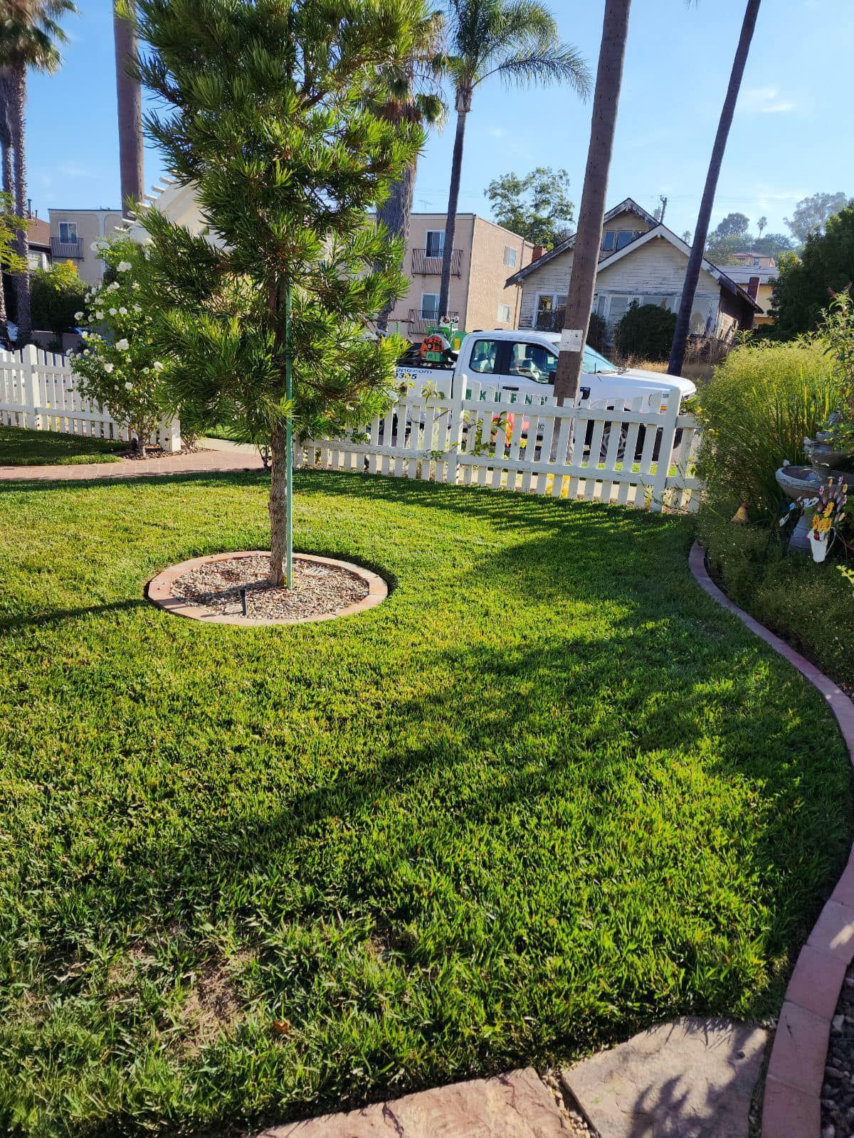 Green lawn with a small tree surrounded by a circular brown border. White picket fence in the background.
