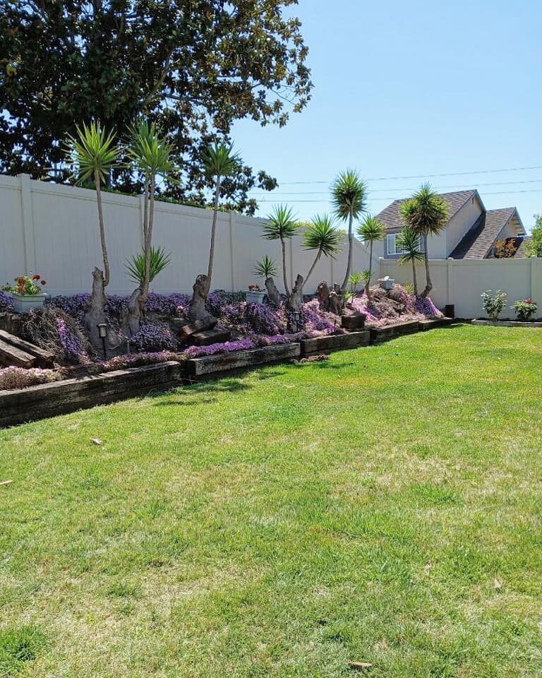 A tiered garden bed with yucca plants and purple flowers against a white fence. Sunny day.
