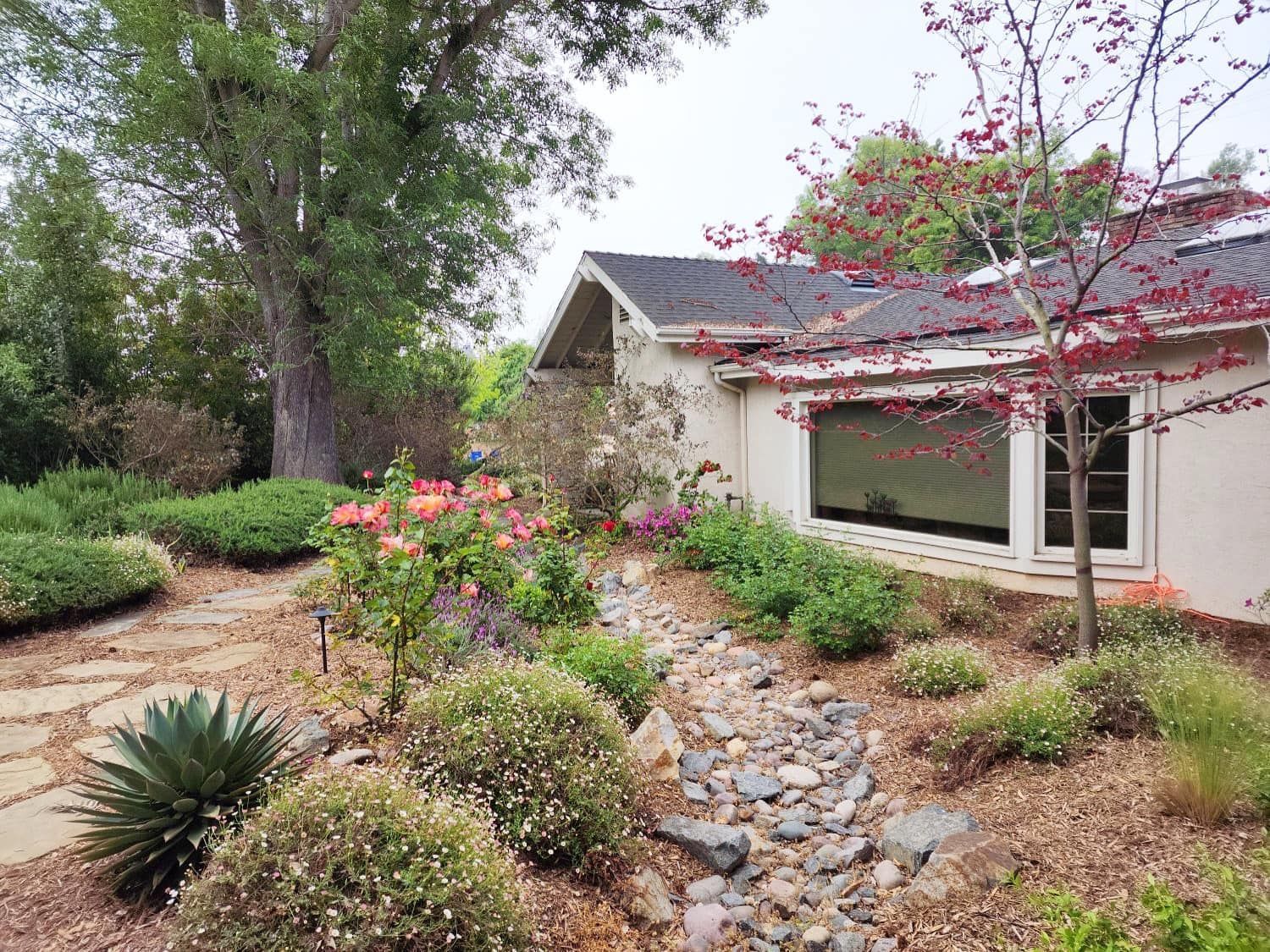 Landscaped garden with a stone path, dry creek bed, and flowering plants next to a light-colored house.
