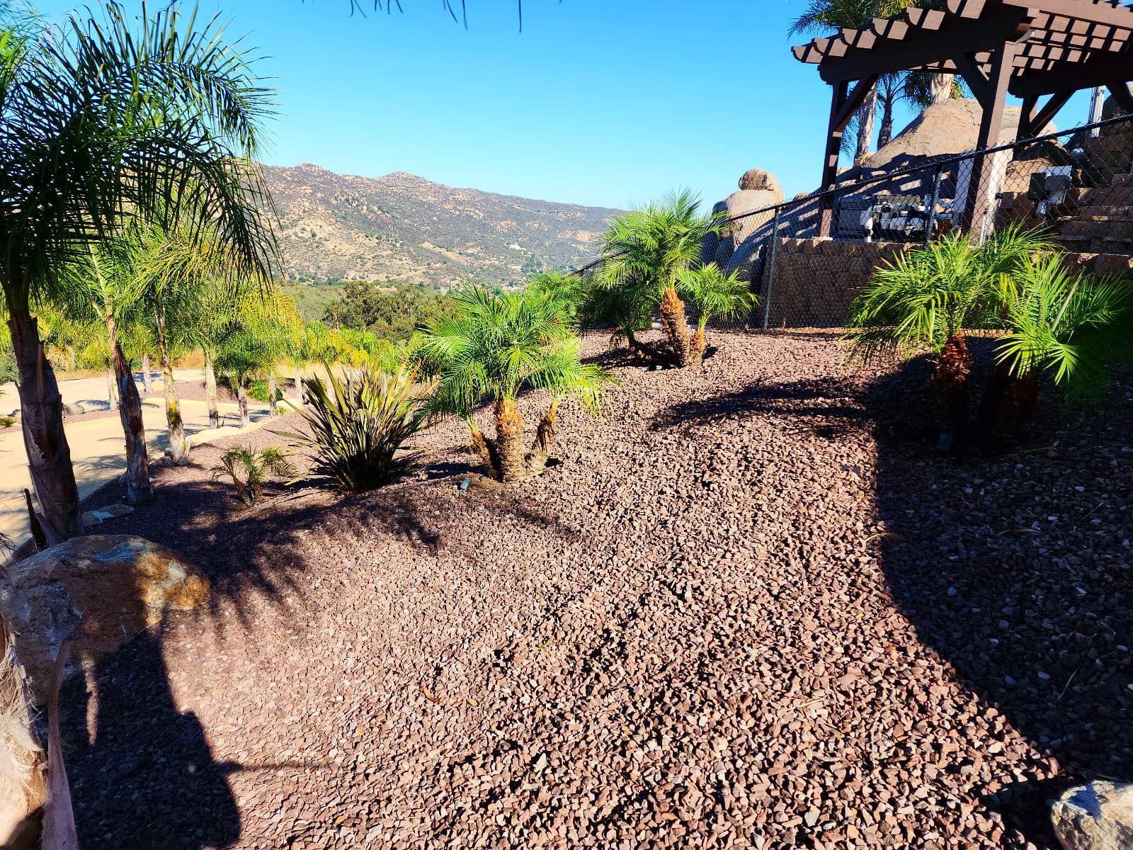 Gravel path with palm trees, shrubs, and a mountain view under a clear blue sky.