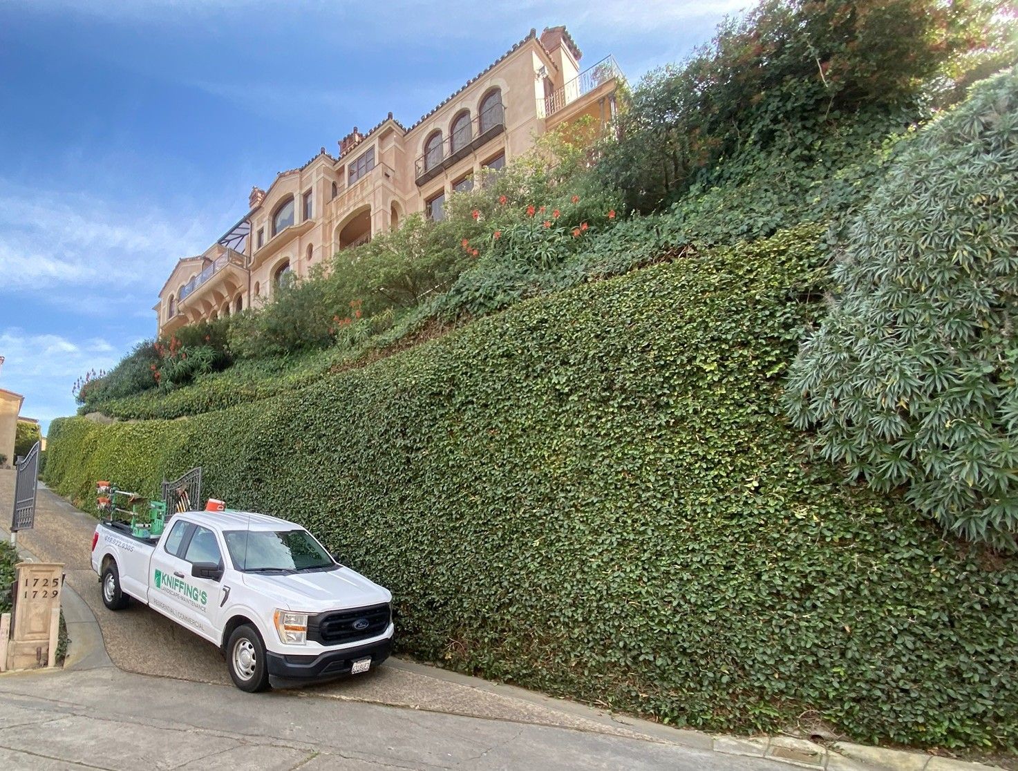 Kniffing's Landscape