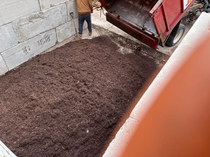 A person unloads dark mulch from a red truck bed into a concrete enclosure.