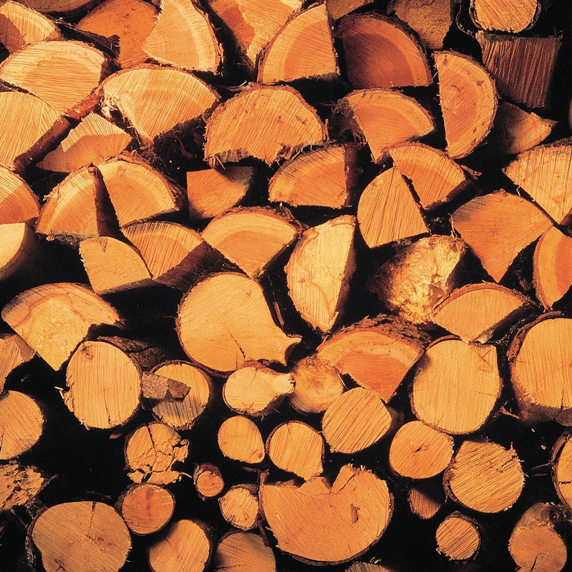 A stack of cut firewood, showing circular and wedge-shaped ends, in shades of brown and orange.