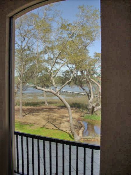 John's Island looking through the screen to the marsh