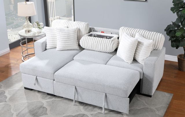 Sleeper Sofa