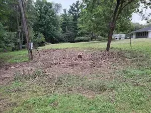 A cleared patch of land with debris, trees, and utility poles. Green grass surrounds the clearing.