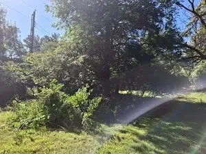 A sprinkler waters a grassy area near trees under a blue sky.