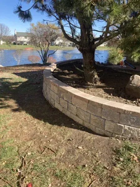 A curved retaining wall surrounds a tree near a lake on a sunny day.