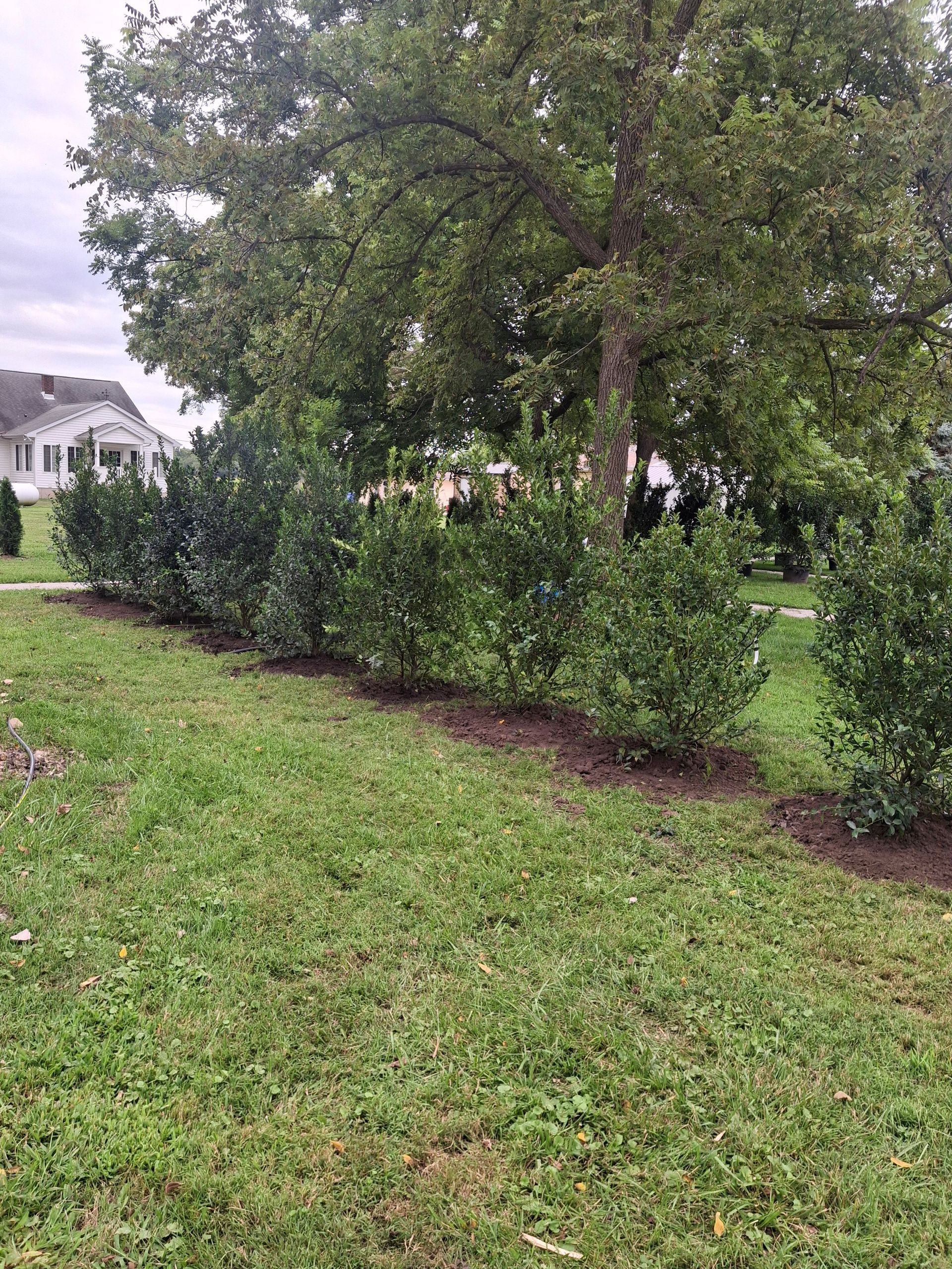 Black trash bags filled with leaves; a yellow maple leaf rests on top.