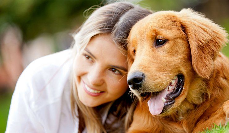 Learn More About Pet Dental Care dog and woman