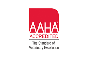 AAHA Accredited
