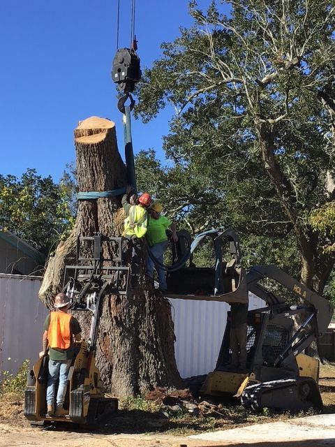 Workers use a crane to remove a large tree stump beside a fence in a yard.