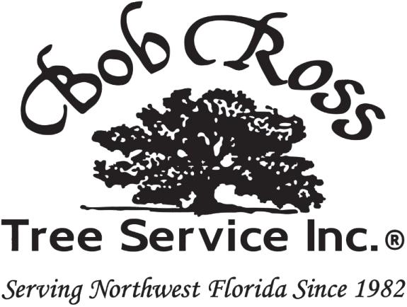 Bob Ross Tree Service | Logo