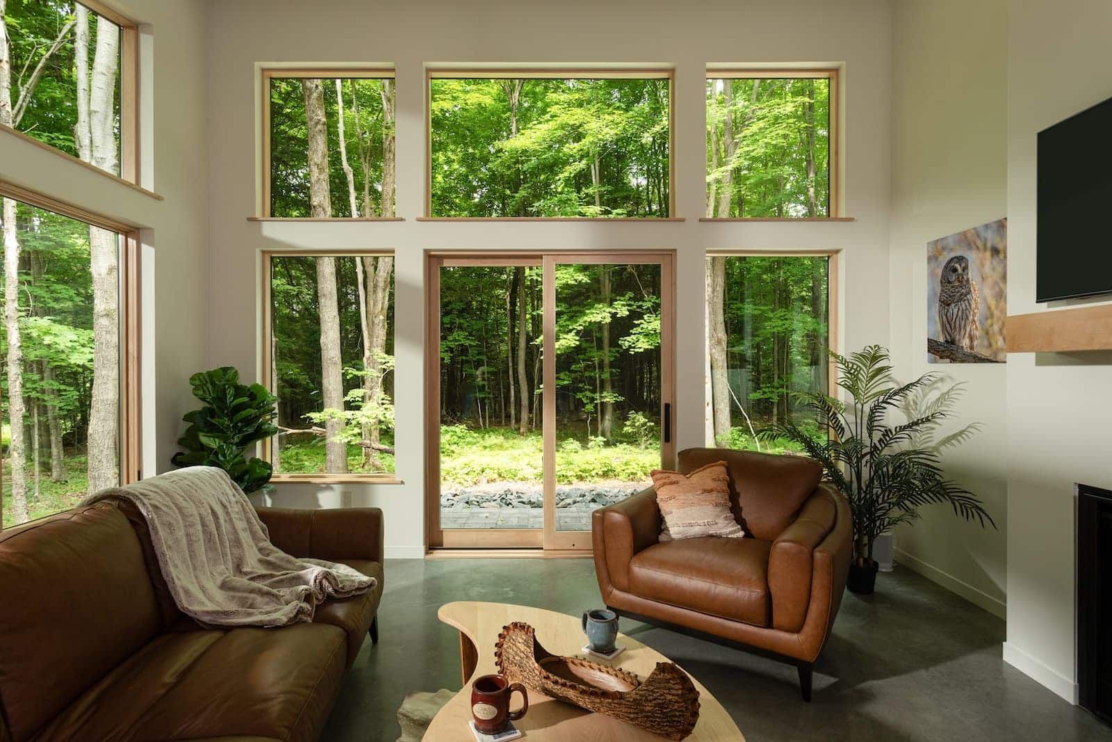 A living room with a couch , chair , coffee table and lots of windows