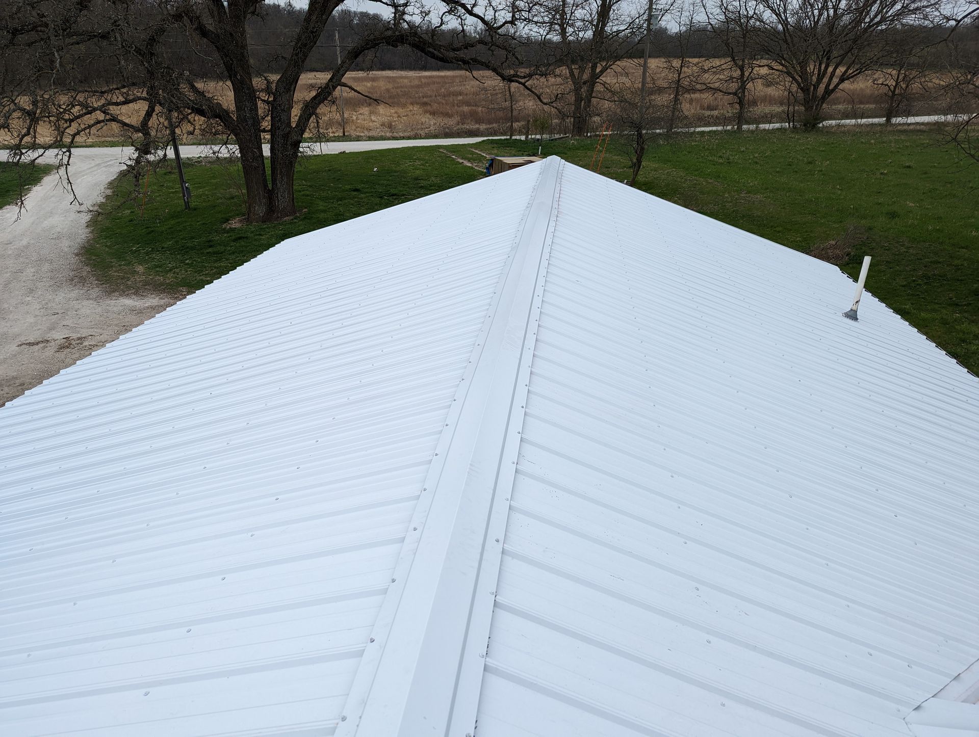 A white roof with a ridge and trees in the background