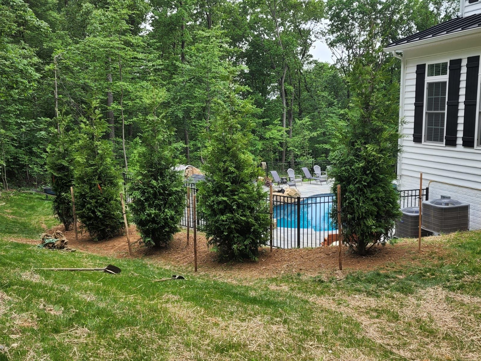 Newly planted trees along a fenced area.