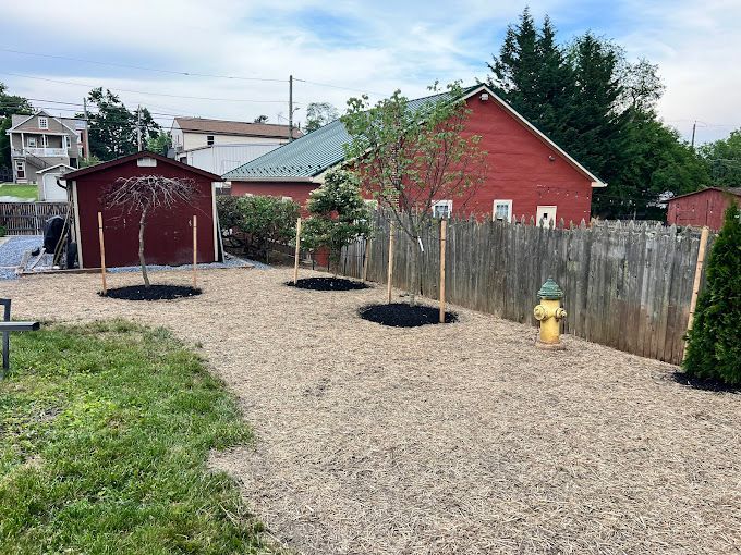 A fire hydrant is in the middle of a gravel yard in front of a red barn.