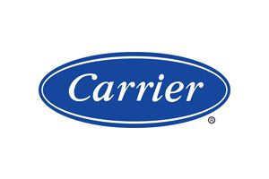 Carrier
