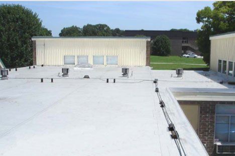 The roof of a building with a lot of windows and trees in the background.