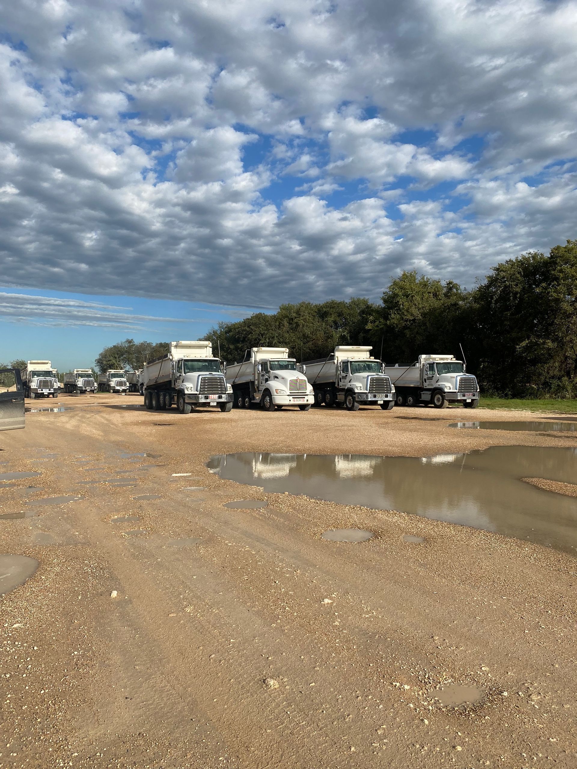 A row of trucks are parked in a dirt lot