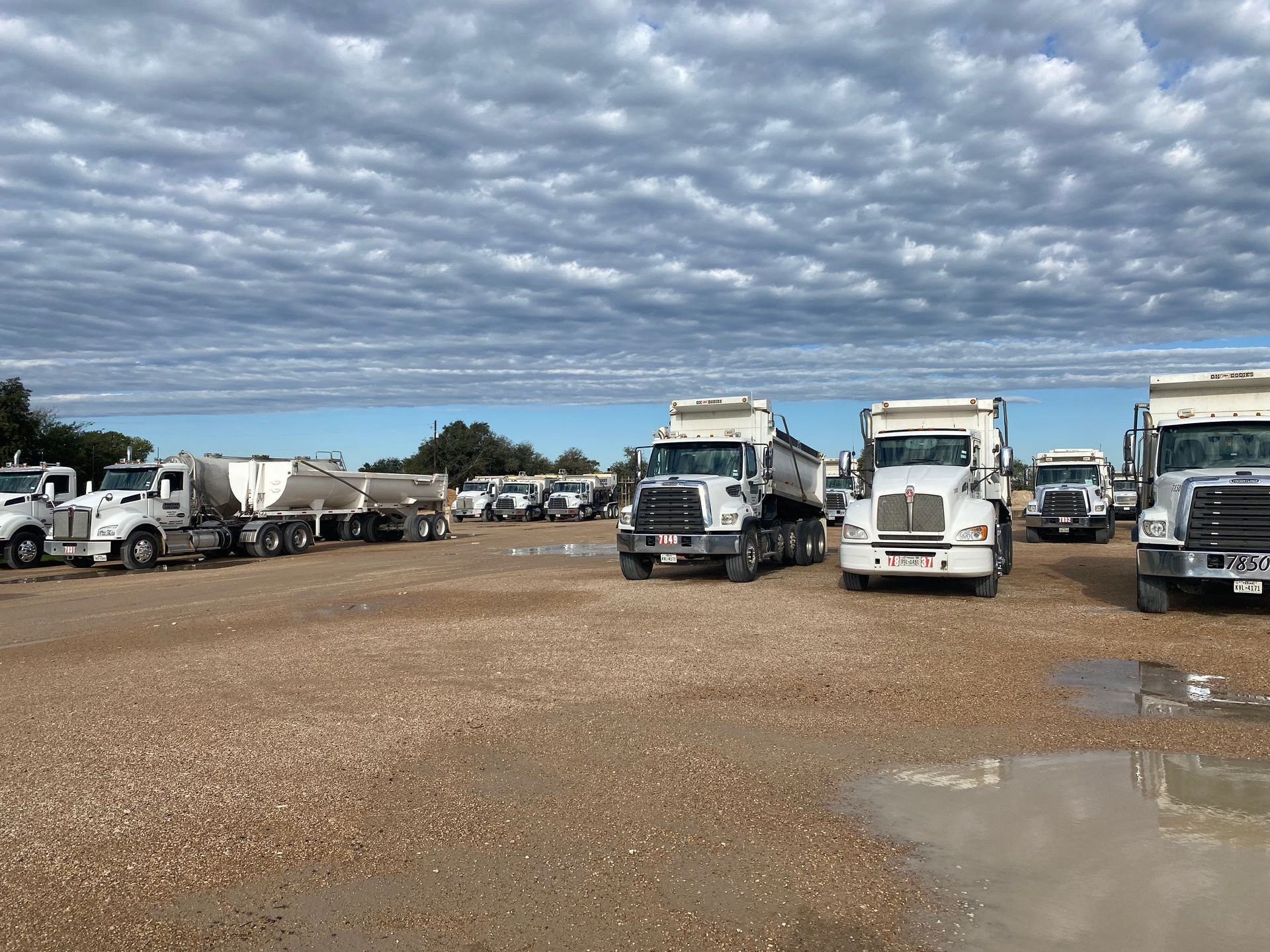 A row of dump trucks are parked in a gravel lot