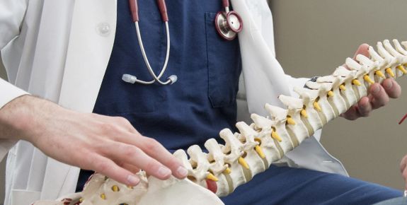 Orthopedic professional holding a skeletal system model