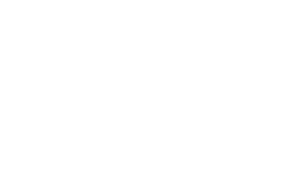 BMG Aesthetics