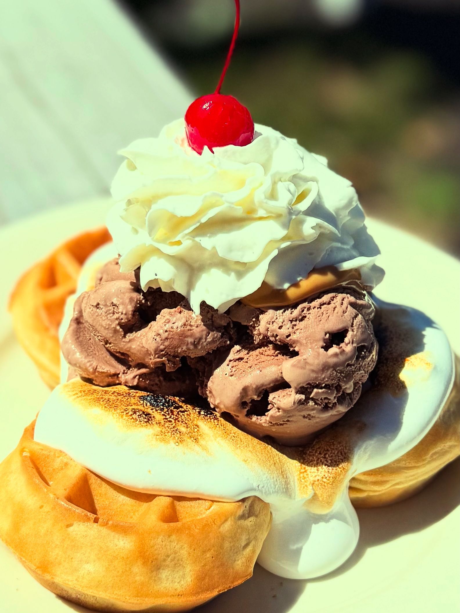 Waffle bowl with chocolate ice cream, whipped cream, and a cherry on top