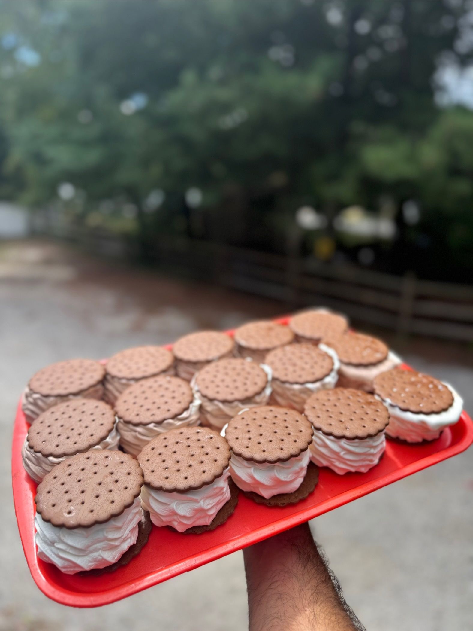 Tray of round sandwich cookies with white filling, held outdoors against a blurred green background