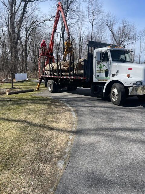 Tree service