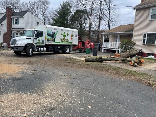 Tree service
