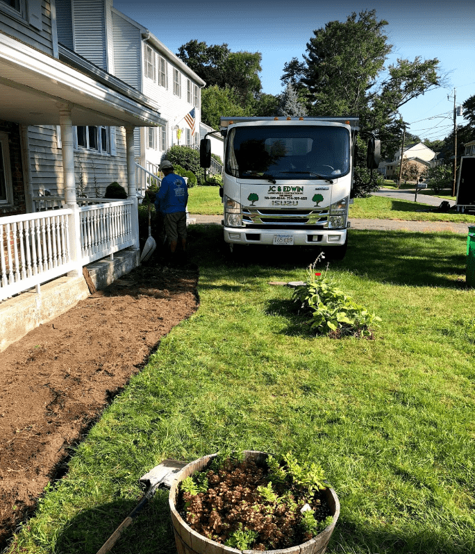 Land clearing