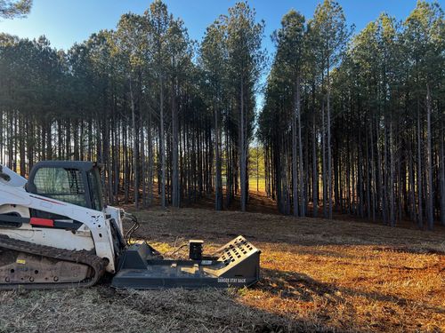 Hayes Excavating & Landscape LLC