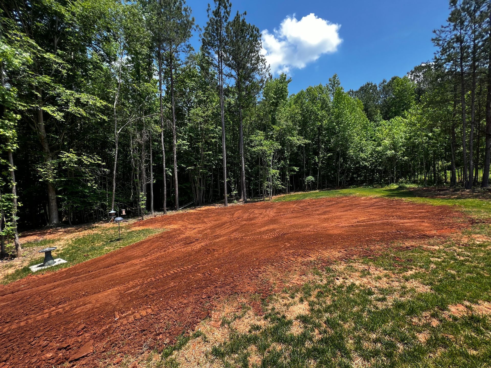 Cleared, red-brown earth in a sunny clearing, surrounded by a forest of green trees under a blue sky with clouds.