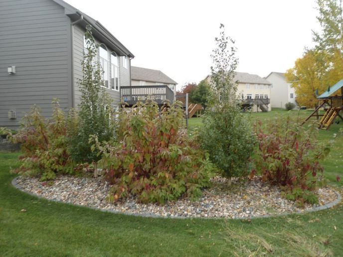 Residential landscape