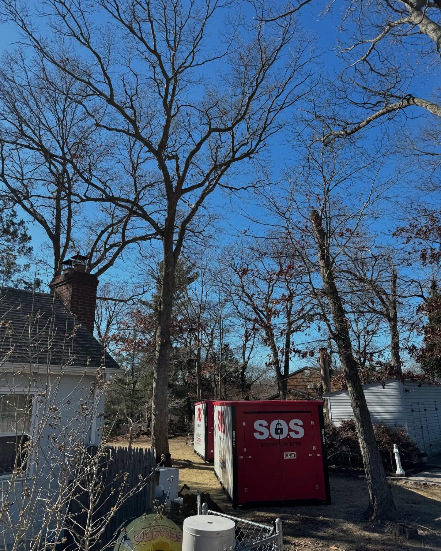 Bare trees against a blue sky, two red SOS containers near a house with a chimney.