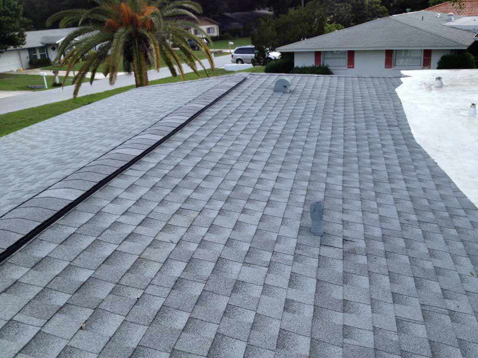 Shingle roofing