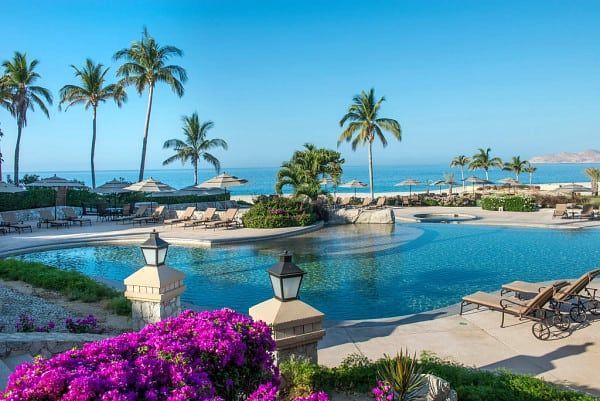 Poolside resort with ocean view, palm trees, bright blue sky, and vibrant purple flowers.