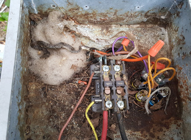 Corroded electrical junction box with exposed wires and terminal block in a dirty metal enclosure