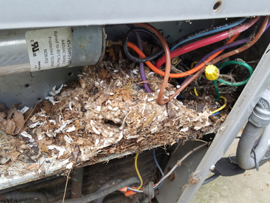 Open electrical panel with tangled wires and debris, showing damaged insulation and exposed components