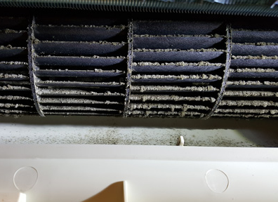 Dirty air filter with dark dust buildup and white plastic housing underneath