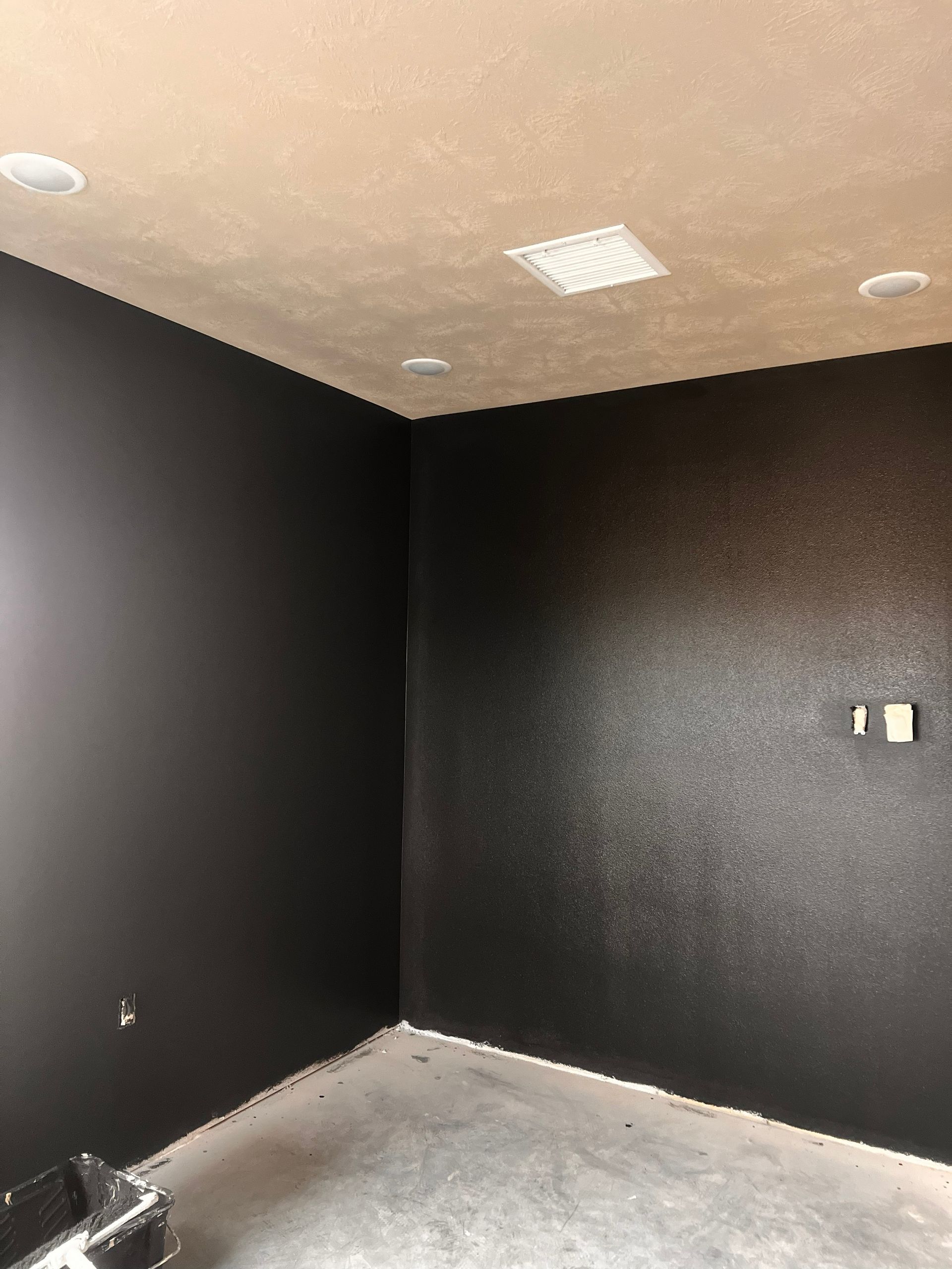 Dark painted room with a concrete floor and recessed ceiling lights.