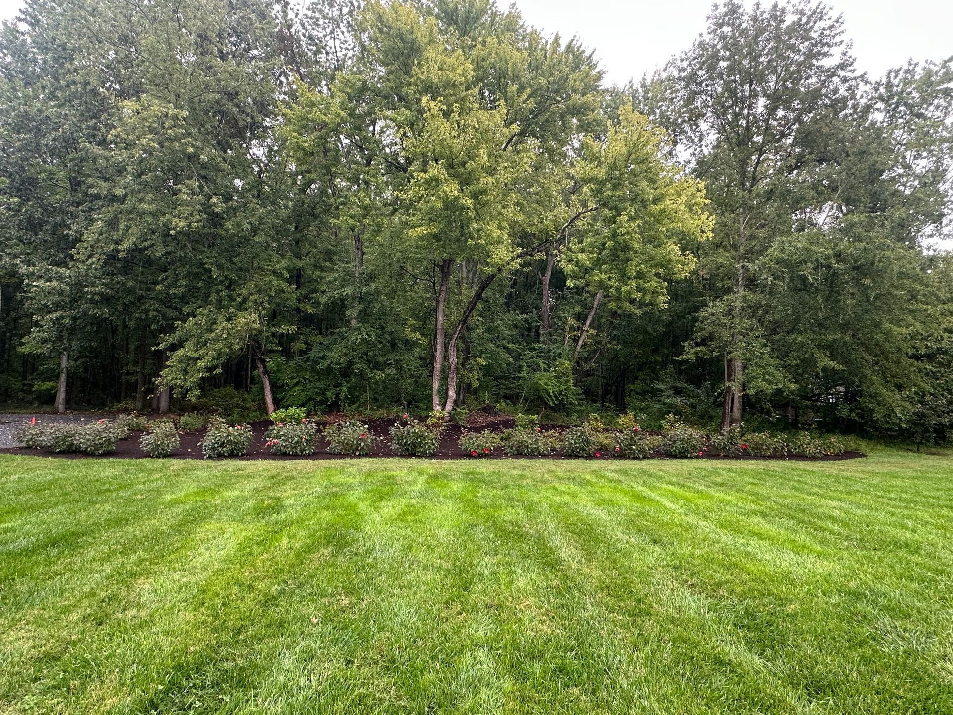 Brummell Does, LLC Landscaping and Lawn Care
