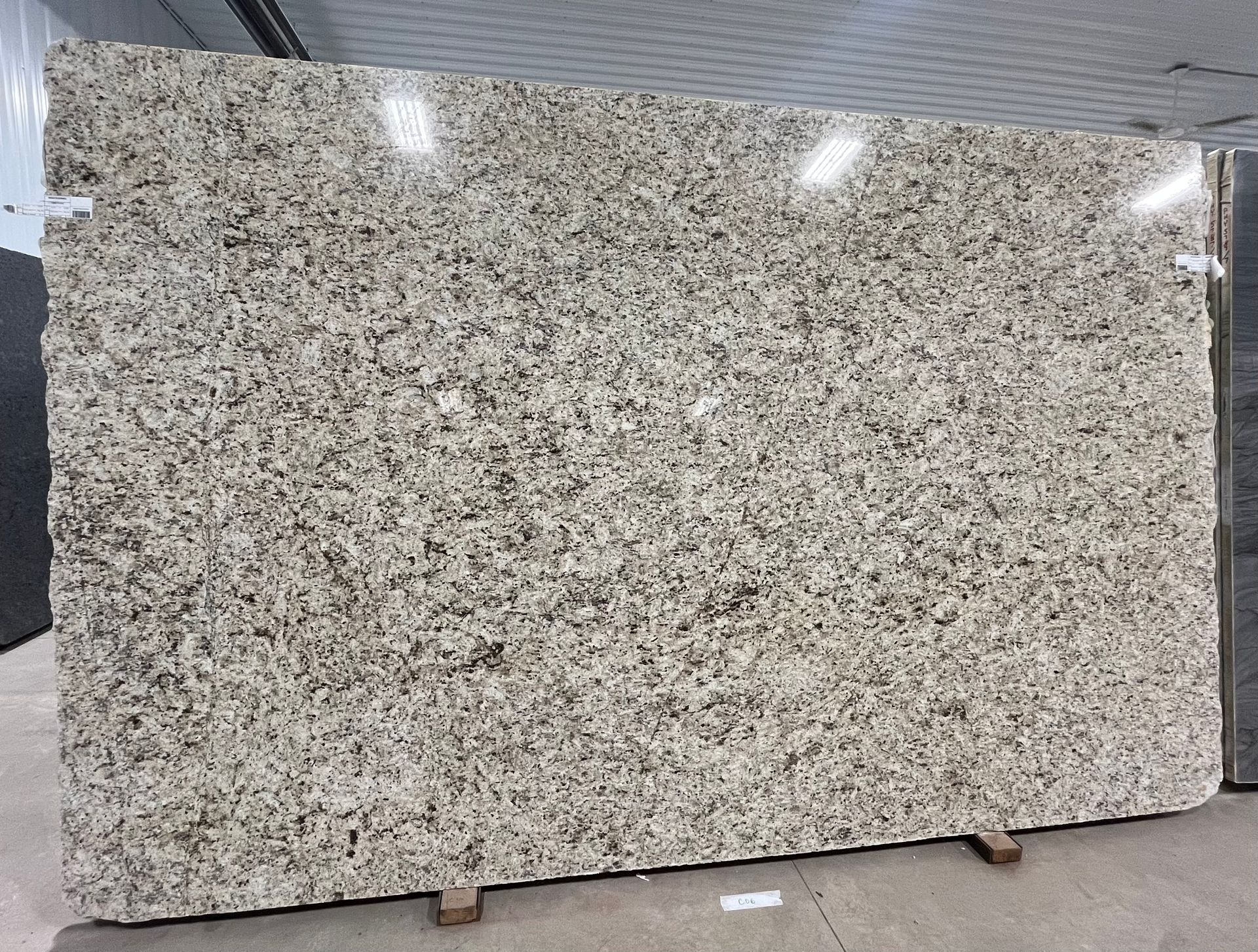 Large polished granite slab with gray, white, and black speckled pattern standing upright on supports indoors